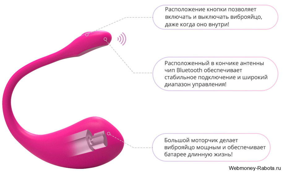 из чего состоит Lovense